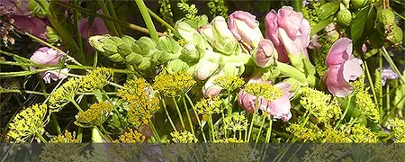 Tag des offenen Klosters